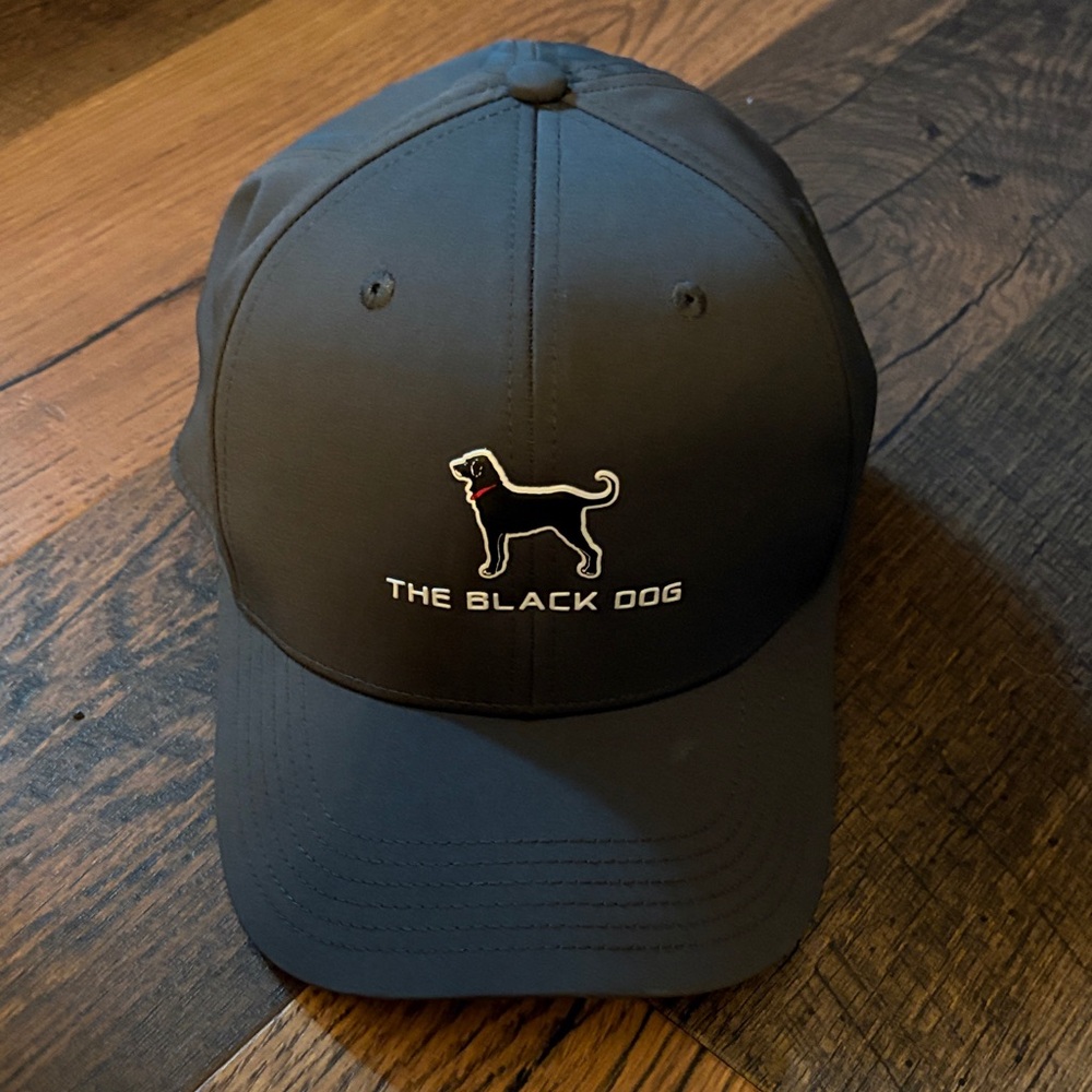 The Black Dog Gray Fitted Hat